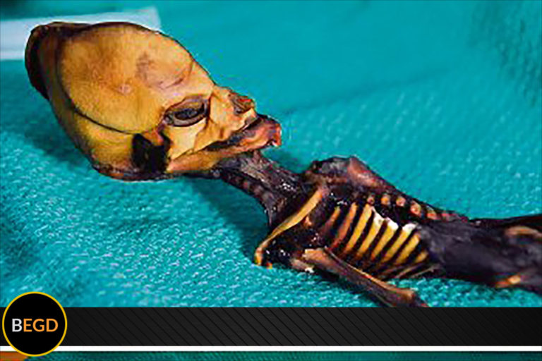 Era una niña, no extraterrestre