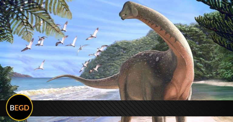 Descubren en sur de Argentina especie de dinosaurio de hace 110 millones de años